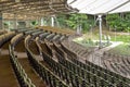 Rows of wooden emty seats