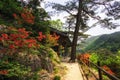 Royal Azalea and Buddhist Shrine Royalty Free Stock Photo