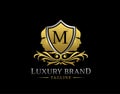 Royal Beauty Logo With M Letter. Elegant Gold Shield badge With Beauty Face Shape perfect for salon, spa, cosmetic, Boutique,