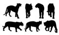 Royal Bengal Tiger Silhouettes-Vector Royalty Free Stock Photo