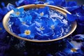 royal blue bathwater with floating flower petals