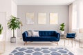 Royal blue couch with two pillows standing in real photo of bright living room interior with fresh plants, window with curtains, t