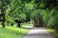 Peradeniya Royal Botanical Gardens - kandy - Sri lanka Royalty Free Stock Photo