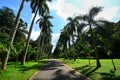 Royal Botanical Garden Peradeniya, Sri Lanka Royalty Free Stock Photo