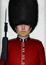 Royal British Guardsman Royalty Free Stock Photo