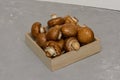 Royal brown champignons - Agaricus bisporus. Fresh mushrooms in wooden box on concrete gray background Royalty Free Stock Photo