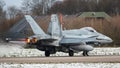 Royal Canadian Air Force CF-18 Hornet