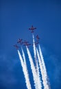 Canadian Snowbirds at Great Pacific Airshow