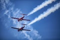 Canadian Snowbirds at Great Pacific Airshow