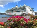 Royal Caribbean - Jewel of the Seas - Cruise Ship with Bougainvillea