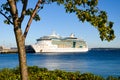 Royal Caribbean Serenade of the Seas at Pier 91 in Seattle with natural branch frame Royalty Free Stock Photo