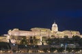 The royal castle in Budapest