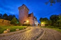 Royal Castle in Poznan, Poland Royalty Free Stock Photo