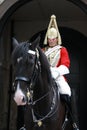 Royal Cavalry