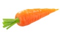 Royal Chantenay carrot, short-rooted variety w/ tapered tip,  isolated Royalty Free Stock Photo