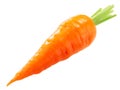 Royal Chantenay carrot, short-rooted variety w/ tapered tip,  isolated Royalty Free Stock Photo