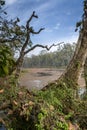 Royal Chitwan National Park, Nepal. Royalty Free Stock Photo