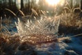 Royal Crown Of Ice Crystals, Sparkling In The Winter Sunlight. Generative AI