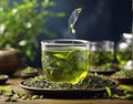 Royal Cup of green tea with green tea farming background