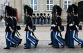 The Royal Danish Life Guards