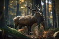 A royal deer with big antlers in the woods. AI generated