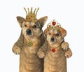 Royal dog family together