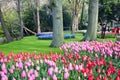 Royal Flower Park KÃÂ¶kenhof in the Netherlands Holland