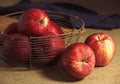 Royal Gala Apple, malus domestica Royalty Free Stock Photo