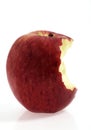 Royal Gala Apple, malus domestica, Fruit against White Background Royalty Free Stock Photo