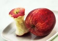 Royal Gala Apple, malus domestica, Fruit and Core in a Plate Royalty Free Stock Photo