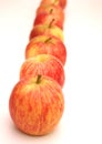 Royal Gala apples Royalty Free Stock Photo