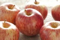 Royal Gala apples Royalty Free Stock Photo