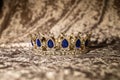 Royal  golden crown with blue stones. Jewellery Royalty Free Stock Photo