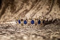 Royal  golden crown with blue stones. Jewellery Royalty Free Stock Photo