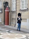 Royal guard at Amalienborg Palace, Copenhagen Denmark Royalty Free Stock Photo