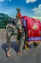 Royal Guard on Elephant Parade in Mysore Dasara procession Royalty Free Stock Photo