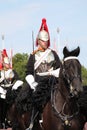 Royal Guard on horse back