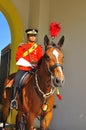 Royal guard on horse guarding the palace Royalty Free Stock Photo