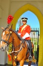 Royal guard on horse guarding the palace Royalty Free Stock Photo