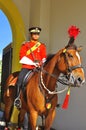 Royal guard on horse guarding the palace Royalty Free Stock Photo