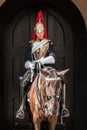 Royal Guard mounted trooper