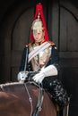 Royal Guard mounted trooper