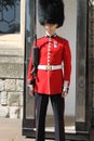 Royal Guard Royalty Free Stock Photo