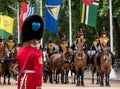 Royal Guard stands to attention as Household Cavalry passes by at The Mall, London, UK