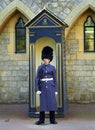 Royal guard, Windsor, England