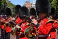 Royal Guards Band Irish Guards