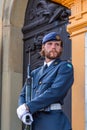 Royal guardsman on guard at Swedish Royal Palace Royalty Free Stock Photo