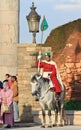Royal guardsman, Rabat - Morocco