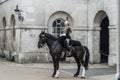 Royal horse guard, London