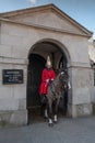 Royal Horse Guard trooper of Blues and Royals